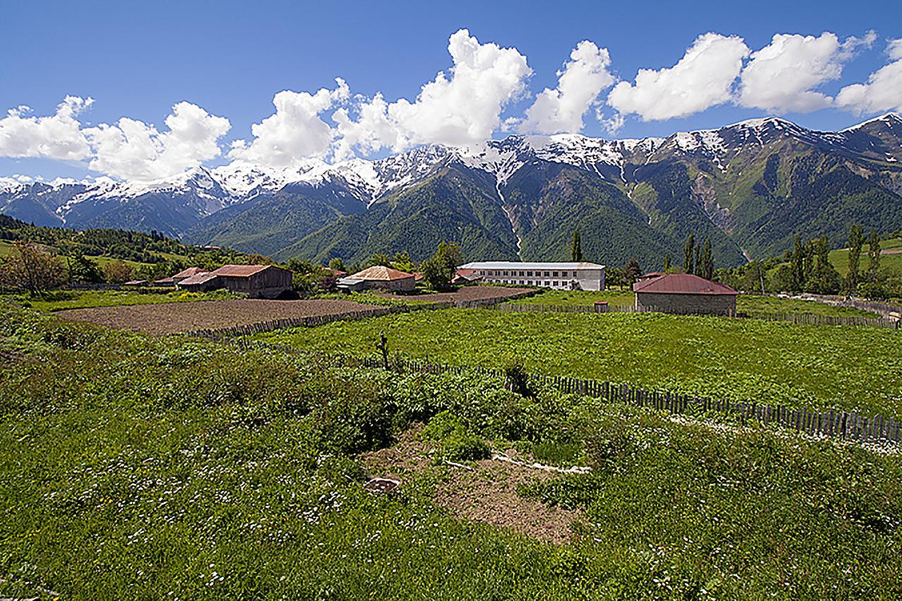 Hanmer Guest House Iskari Exterior photo
